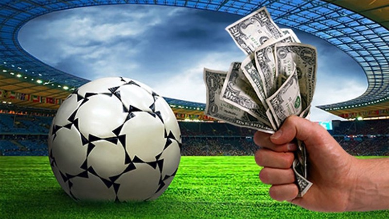 Descubre todo sobre BetWinner Tu guía completa para apostar en línea